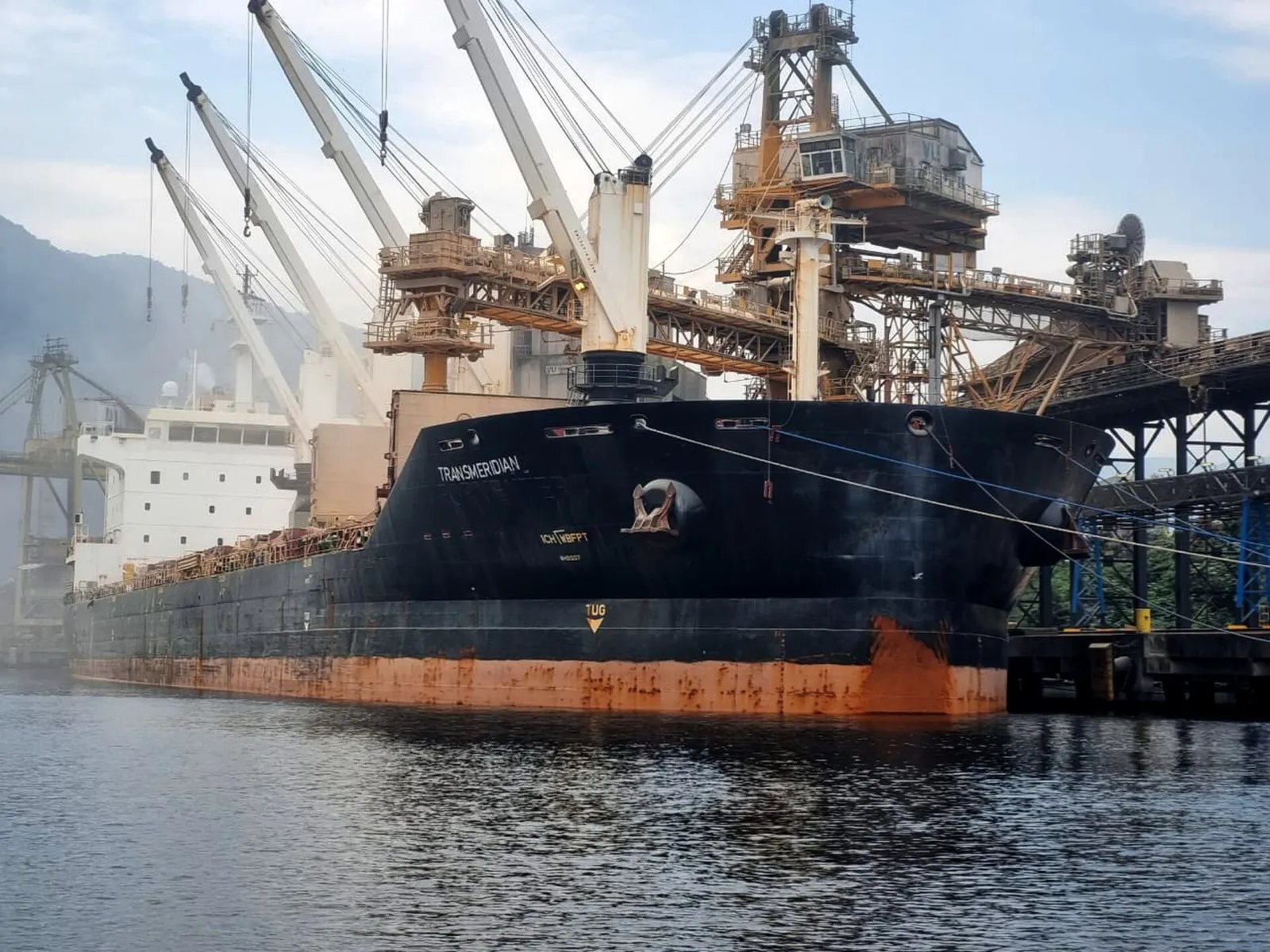 Navio cargueiro de casco preto atracado em terminal do Porto de Santos, com guindastes e correias de embarque ao fundo.
