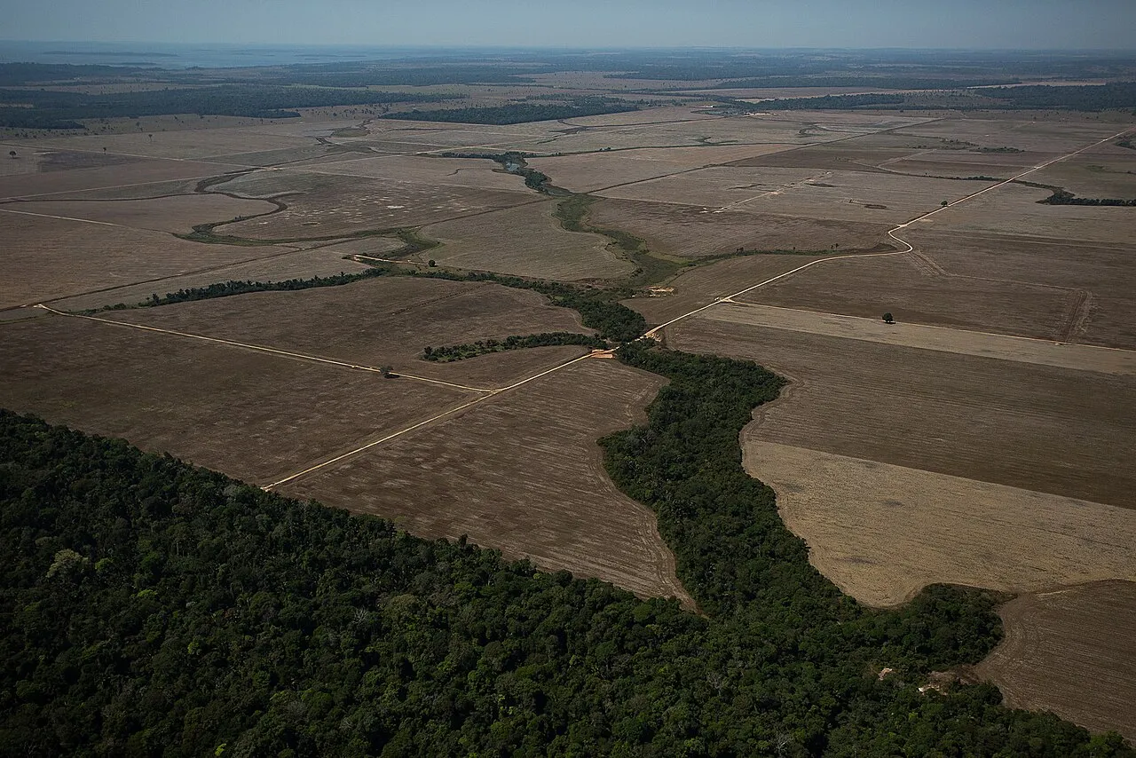 Vista aérea de área desmatada em Rondônia, perto de Porto Velho, preparada para monocultura ou pecuária, ao lado de mata preservada.