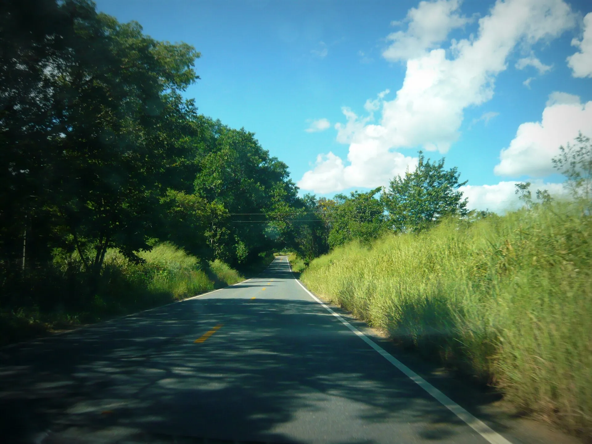 Rodovia asfaltada com vegetação alta nas margens e céu azul com nuvens, nos arredores da BR-367, no Vale do Jequitinhonha.