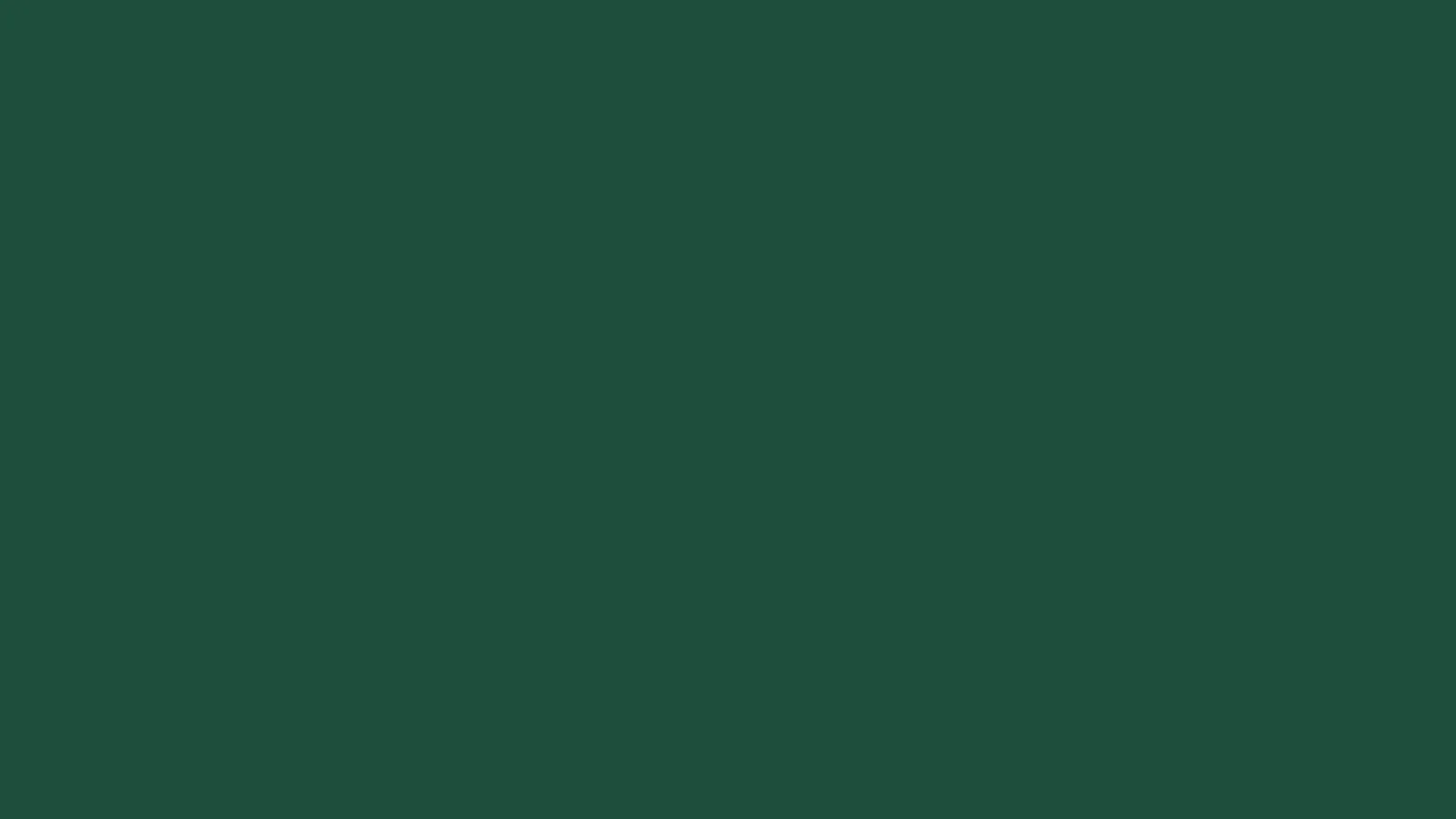 Ilustração abstrata em cor verde-escura, sem pessoas, prédios ou lugares reconhecíveis.